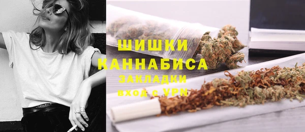 прущие грибы Лихославль