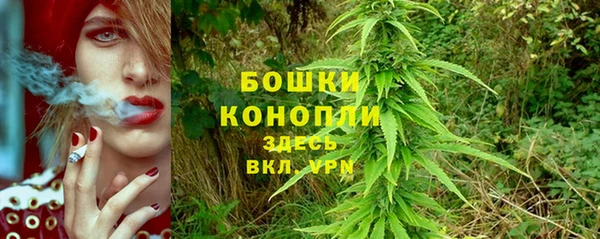 прущие грибы Лихославль