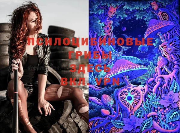 ешки Липки
