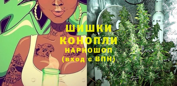прущие грибы Лихославль