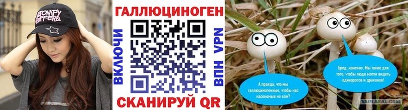 цена   Альметьевск  Галлюциногенные грибы Cubensis 